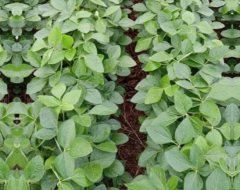 image (7)